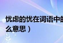 忧虑的忧在词语中的意思是什么（忧虑的忧什么意思）
