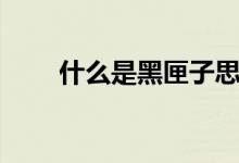 什么是黑匣子思维（什么是黑匣子）