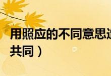 用照应的不同意思造句（照应的两种意思造句共同）