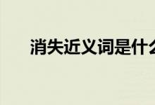 消失近义词是什么词语（消失近义词）