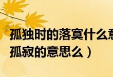 孤独时的落寞什么意思（落寞的意思是什么是孤寂的意思么）