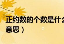 正约数的个数是什么意思（请问正约数是什么意思）