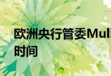 欧洲央行管委Muller：加息以降低通胀需要时间