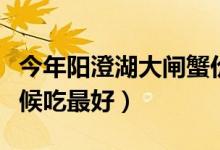 今年阳澄湖大闸蟹价格（阳澄湖大闸蟹什么时候吃最好）