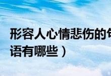形容人心情悲伤的句子（形容人心情悲伤的词语有哪些）