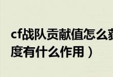 cf战队贡献值怎么获得（cf战队系统个人贡献度有什么作用）