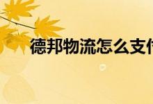 德邦物流怎么支付（德邦物流怎么样）