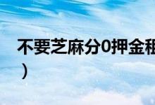 不要芝麻分0押金租手机（不要芝麻分的贷款）