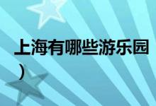 上海有哪些游乐园（上海有哪些游乐园之类的）