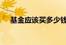 基金应该买多少钱的 基金买多少钱合适