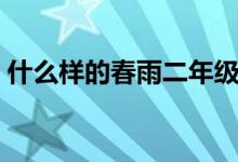 什么样的春雨二年级（什么样的春雨怎么样）