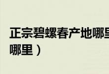 正宗碧螺春产地哪里最好（正宗碧螺春产地在哪里）