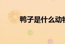 鸭子是什么动物（鸭子是动物吗）