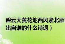 碧云天黄花地西风紧北雁南飞晓来谁染霜林醉（总是离人泪出自谁的什么诗词）