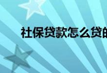 社保贷款怎么贷的（社保贷款怎样贷）