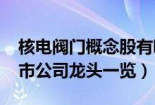 核电阀门概念股有哪些（2022年核电阀门上市公司龙头一览）