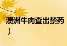 澳洲牛肉查出禁药（中国海关总署已暂停进口）