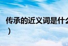 传承的近义词是什么呢（传承的近义词是什么）
