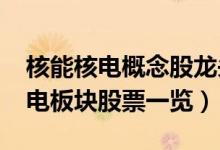 核能核电概念股龙头有哪些（2022年核能核电板块股票一览）