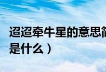 迢迢牵牛星的意思简短版（迢迢牵牛星的意思是什么）