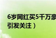 6岁网红买5千万豪宅（购买价值数千万豪宅引发关注）