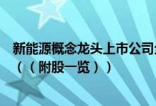 新能源概念龙头上市公司全名单揭晓！新能源概念股有哪些（（附股一览））