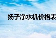 扬子净水机价格表（扬子净水机怎么样）