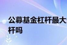 公募基金杠杆最大多少 公募基金基金能用杠杆吗