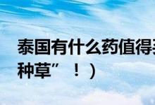 泰国有什么药值得买（这5款热销品就常被“种草”！）