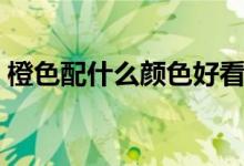 橙色配什么颜色好看绘画（橙色配什么颜色）