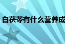 白茯苓有什么营养成份（白茯苓有什么功效）