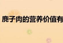 麂子肉的营养价值有哪些（麂子怎么做好吃）