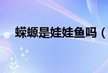 蝾螈是娃娃鱼吗（哪种蝾螈有毒不能碰）