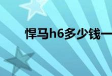 悍马h6多少钱一个（悍马h6多少钱）