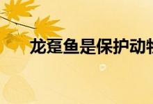 龙趸鱼是保护动物（龙趸鱼是什么鱼）