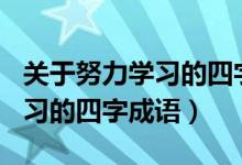 关于努力学习的四字成语100个（关于努力学习的四字成语）