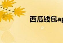 西瓜钱包app（西瓜钱包）