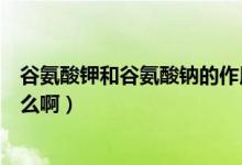 谷氨酸钾和谷氨酸钠的作用（谷氨酸钾　谷氨酸纳　都是什么啊）