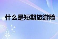 什么是短期旅游险（短期旅游保险怎么买）