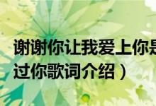 谢谢你让我爱上你是什么歌词（谢谢你让我爱过你歌词介绍）