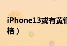 iPhone13或有黄铜色（可能配备1TB内存规格）