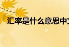 汇率是什么意思中文翻译 汇率是什么意思