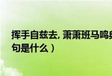 挥手自兹去, 萧萧班马鸣典故（挥手自兹去萧萧班马呜前一句是什么）
