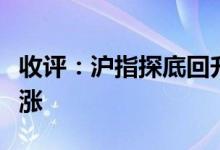 收评：沪指探底回升收十字星电池回收全天领涨