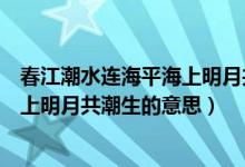 春江潮水连海平海上明月共潮生的翻译（春江潮水连海平海上明月共潮生的意思）