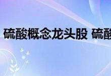 硫酸概念龙头股 硫酸上市公司龙头股有哪些 