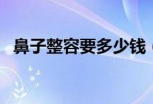 鼻子整容要多少钱（鼻子整形有后遗症吗）