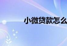 小微贷款怎么申请（小微贷款）