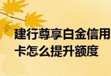 建行尊享白金信用卡额度多少 建行白金信用卡怎么提升额度