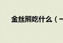 金丝熊吃什么（一天喂几次 份量多少）